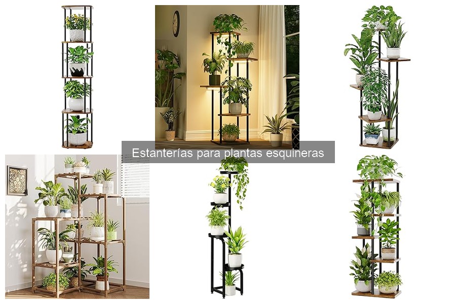 Comparativa de las Mejores Estanterías para Plantas Esquineras