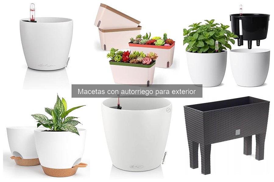 Comparativa de las Mejores Macetas con Autorriego para Exterior