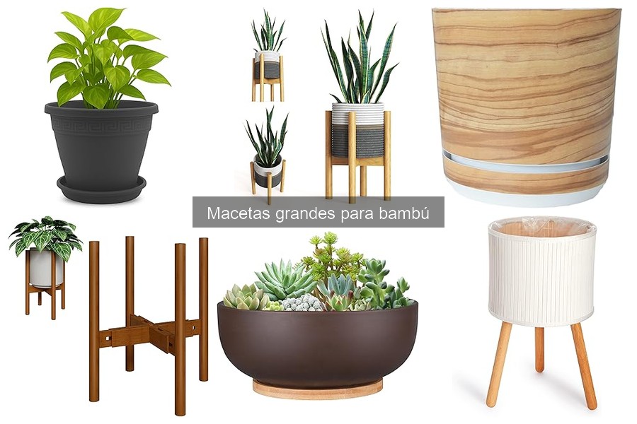 Comparativa de las Mejores Macetas Grandes para Bambú