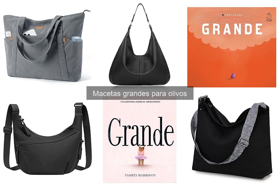 Comparativa de las Mejores Macetas Grandes para Olivos