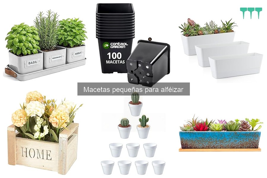 Comparativa de las Mejores Macetas Pequeñas para Alféizares