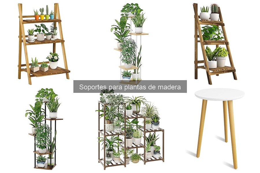 Comparativa de las Mejores Marcas de Soportes para Plantas de Madera