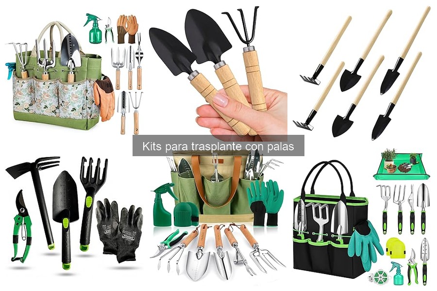 Comparativa de los Mejores Kits para Trasplante del Mercado