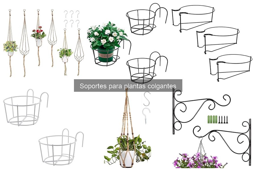 Comparativa de los Mejores Soportes para Plantas Colgantes