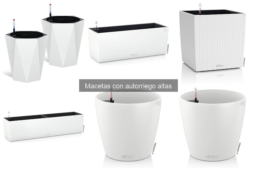 Comparativa de macetas con autorriego altas y tradicionales