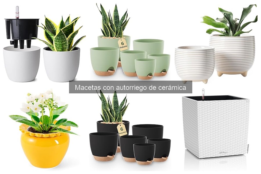 Comparativa de macetas con autorriego de cerámica vs tradicionales