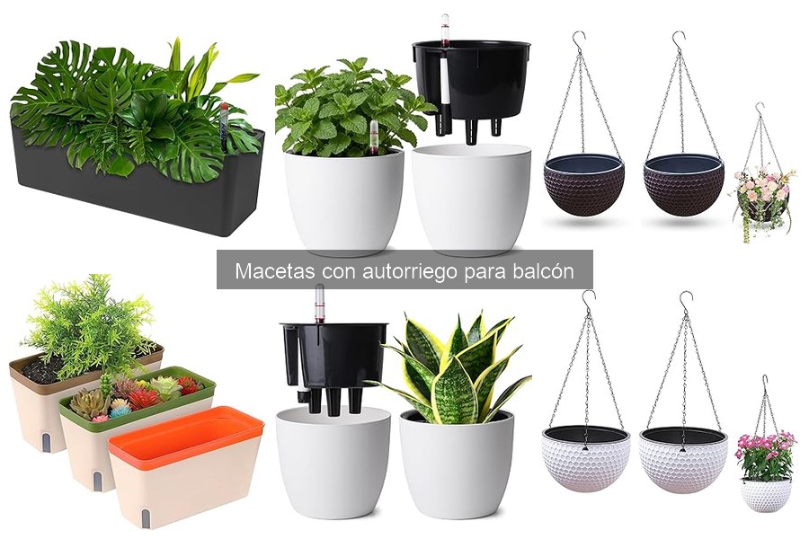 Comparativa de Macetas con Autorriego: Mejores Marcas y Precios