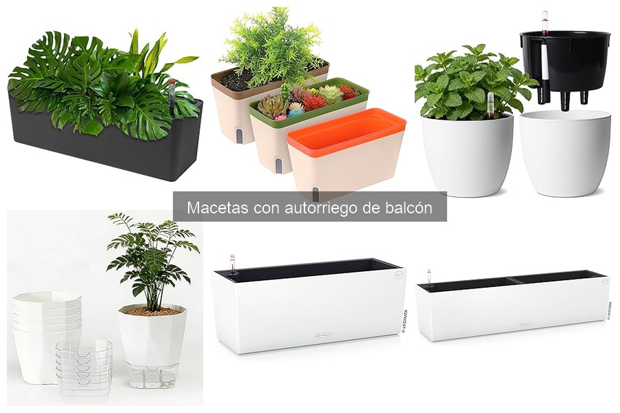 Comparativa de macetas con autorriego para balcón