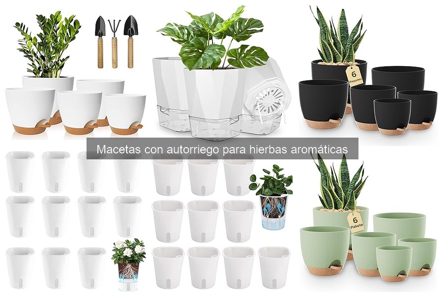 Comparativa de macetas con autorriego para hierbas aromáticas