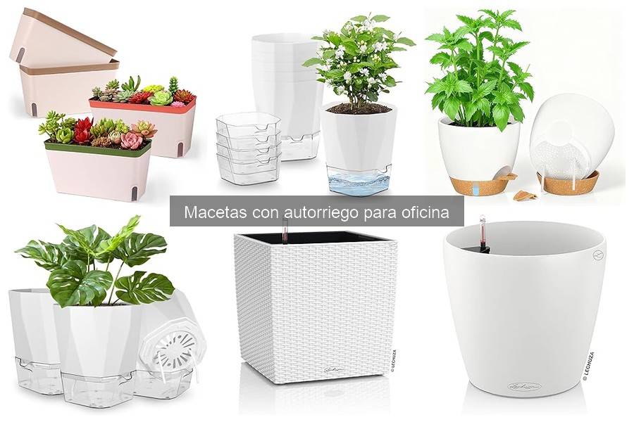 Comparativa de Macetas con Autorriego para Oficina