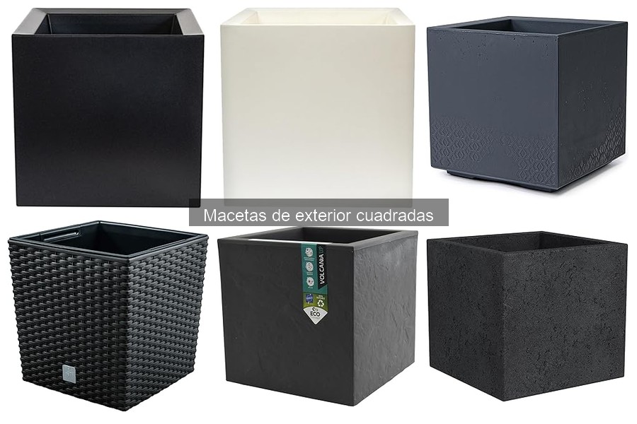 Comparativa de Macetas Cuadradas y Redondas para Exterior