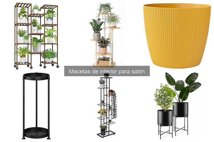 Comparativa de Macetas de Cerámica vs Plástico para Interior