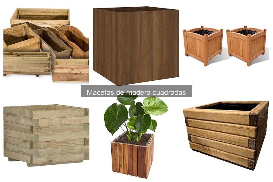 Comparativa de Macetas de Madera Cuadradas vs Otras Macetas