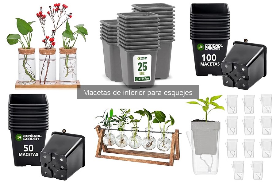 Comparativa de Macetas de Plástico y Cerámica para Esquejes