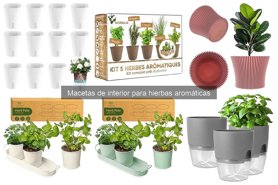 Comparativa de macetas de plástico y terracota para hierbas