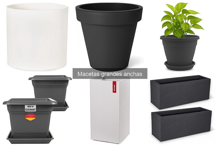 Comparativa de Macetas Grandes Anchas: Plástico vs Cerámica