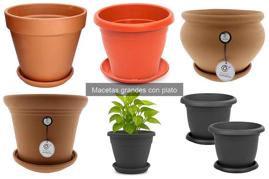 Comparativa de Macetas Grandes con Plato: Materiales y Ventajas