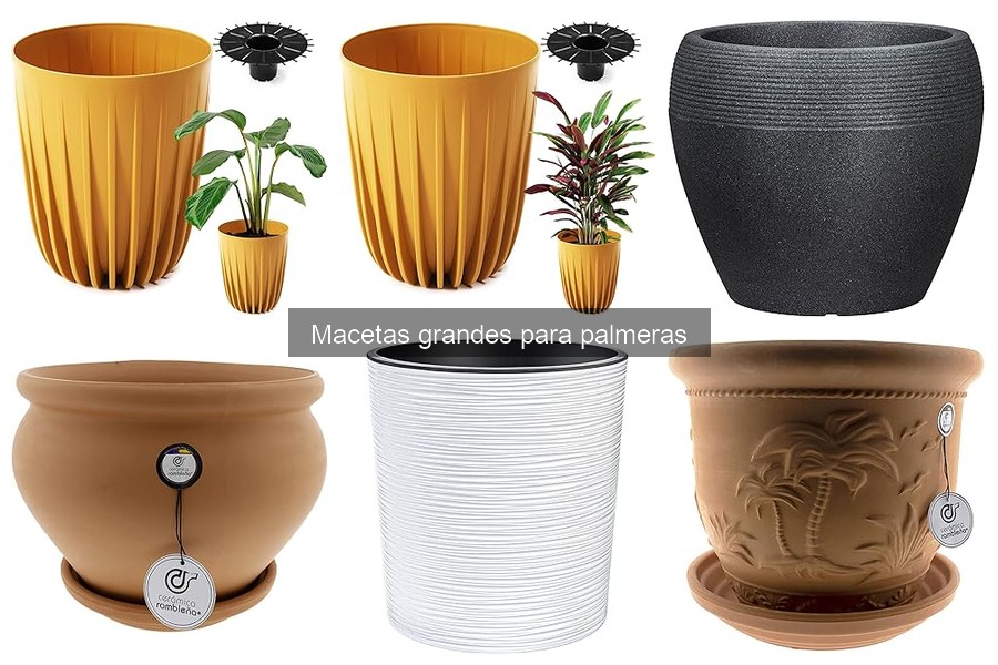 Comparativa de Macetas Grandes: Plástico vs Cerámica para Palmeras