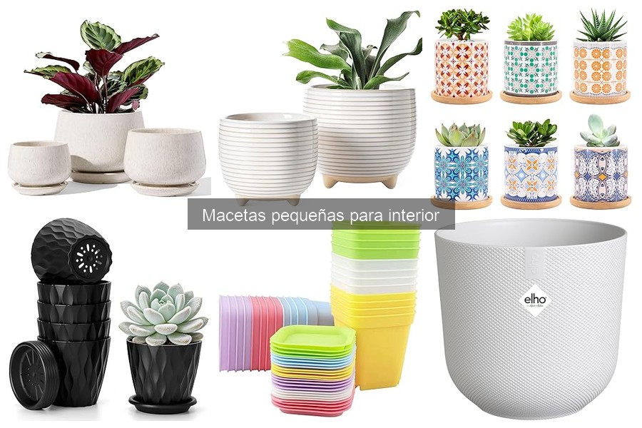 Comparativa de Macetas Pequeñas: Cerámica vs Plástico