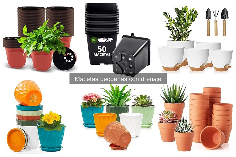 Comparativa de macetas pequeñas con drenaje: mejores marcas