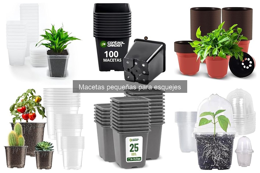 Comparativa de macetas pequeñas para esquejes: plástico vs cerámica