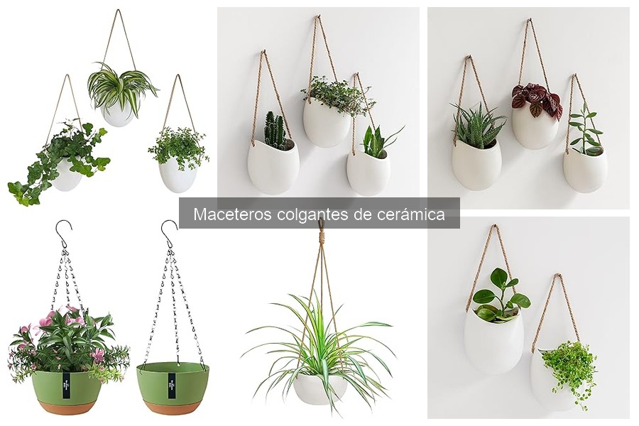 Comparativa de Maceteros Colgantes de Cerámica y Otros Materiales
