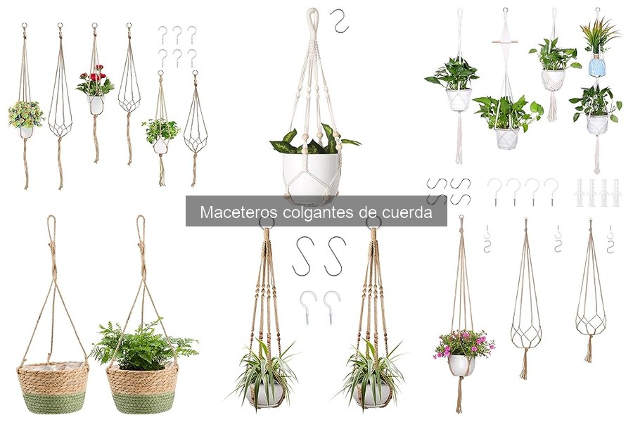 ** Comparativa de Maceteros Colgantes de Cuerda: Calidad y Precio