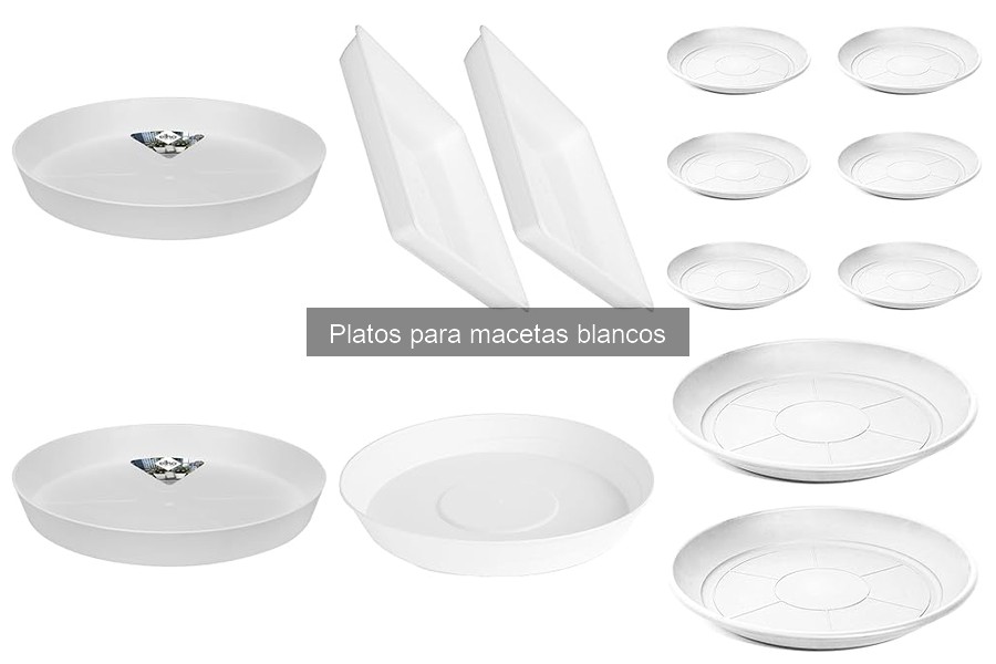 Comparativa de materiales de platos para macetas: cerámica, plástico y metal