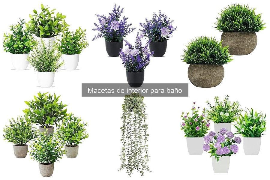 Comparativa de materiales en macetas de interior para baño