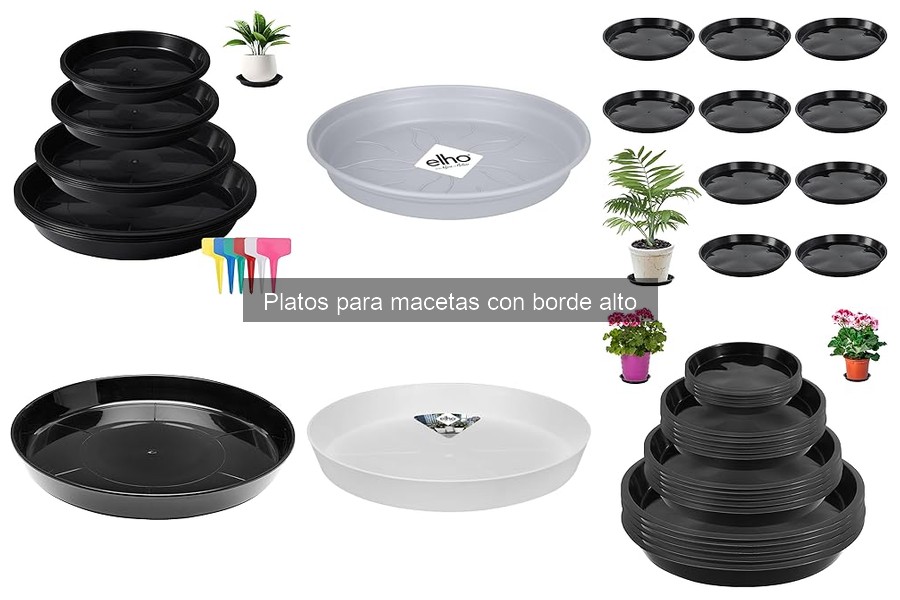 Comparativa de materiales en platos para macetas con borde alto