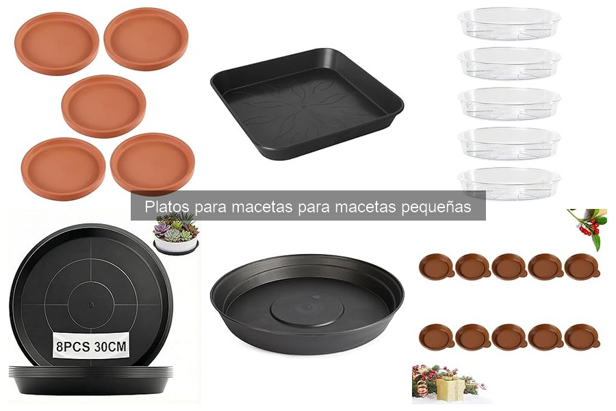 Comparativa de materiales en platos para macetas pequeñas