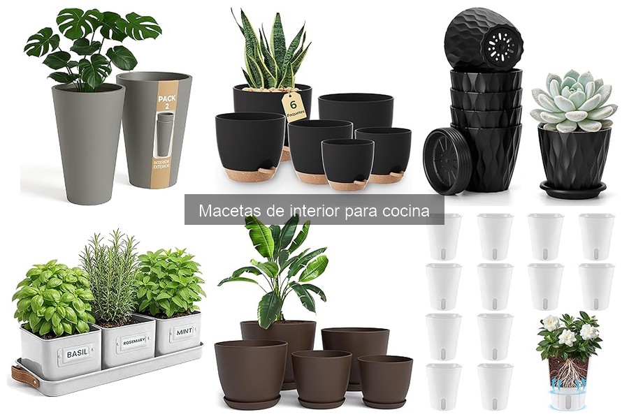 Comparativa de materiales para macetas de cocina