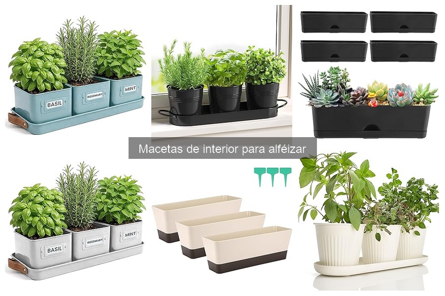 Comparativa de materiales para macetas de interior en alféizares