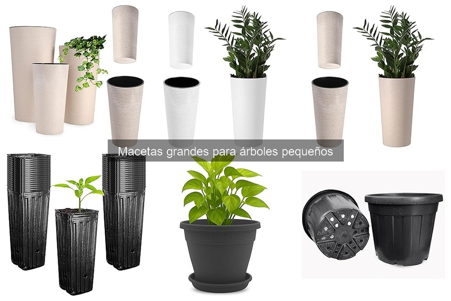 Comparativa de materiales para macetas grandes: ¿cuál elegir?