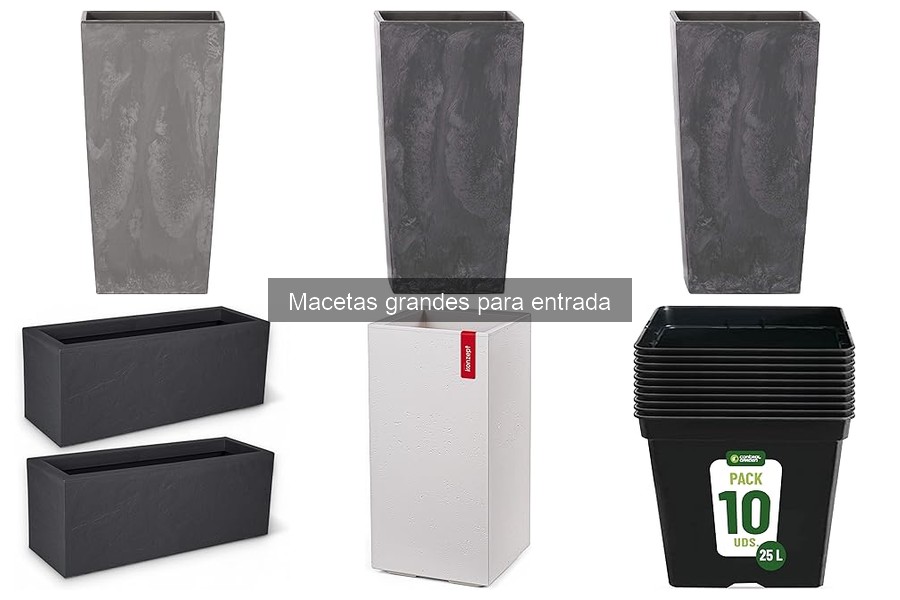 Comparativa de materiales para macetas grandes: plástico, cerámica y metal