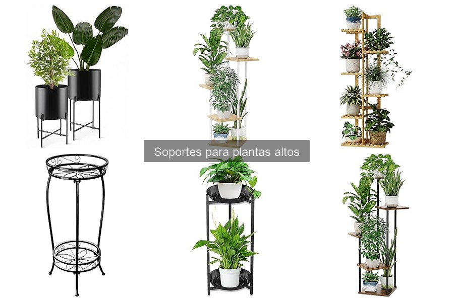 Comparativa de materiales para soportes de plantas altos