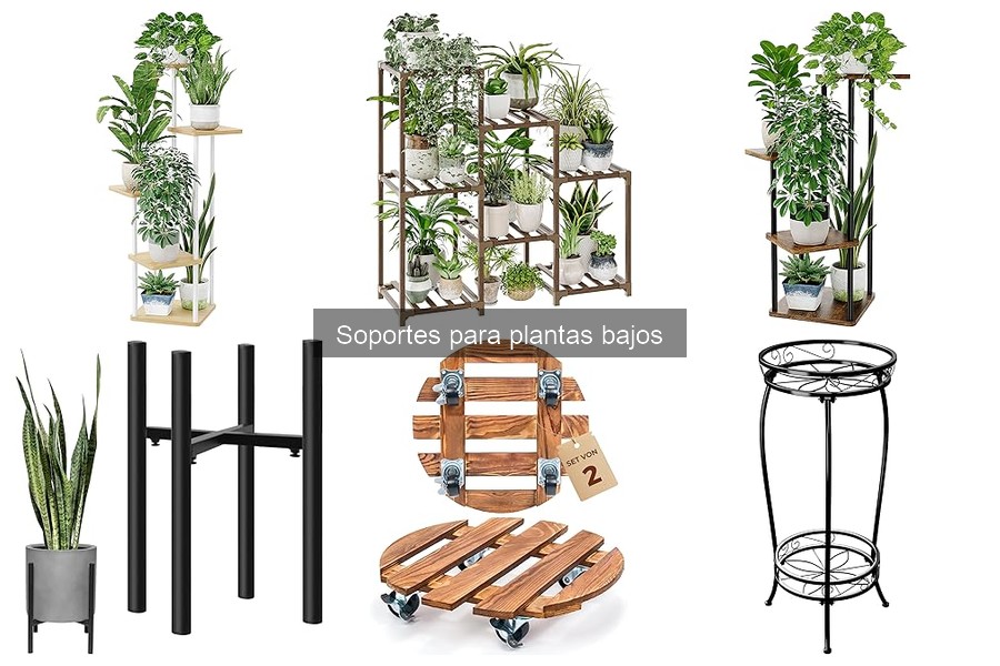Comparativa de materiales para soportes de plantas bajos