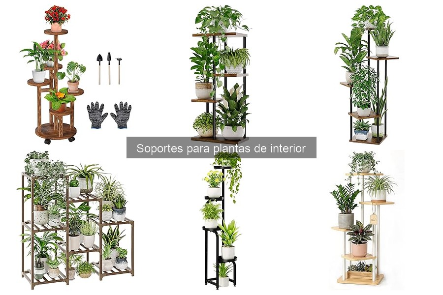 Comparativa de mejores soportes para plantas de interior