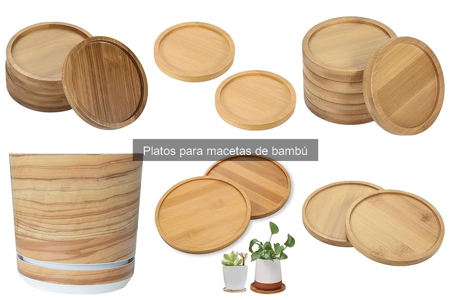 Comparativa de platos de macetas: bambú vs otros materiales
