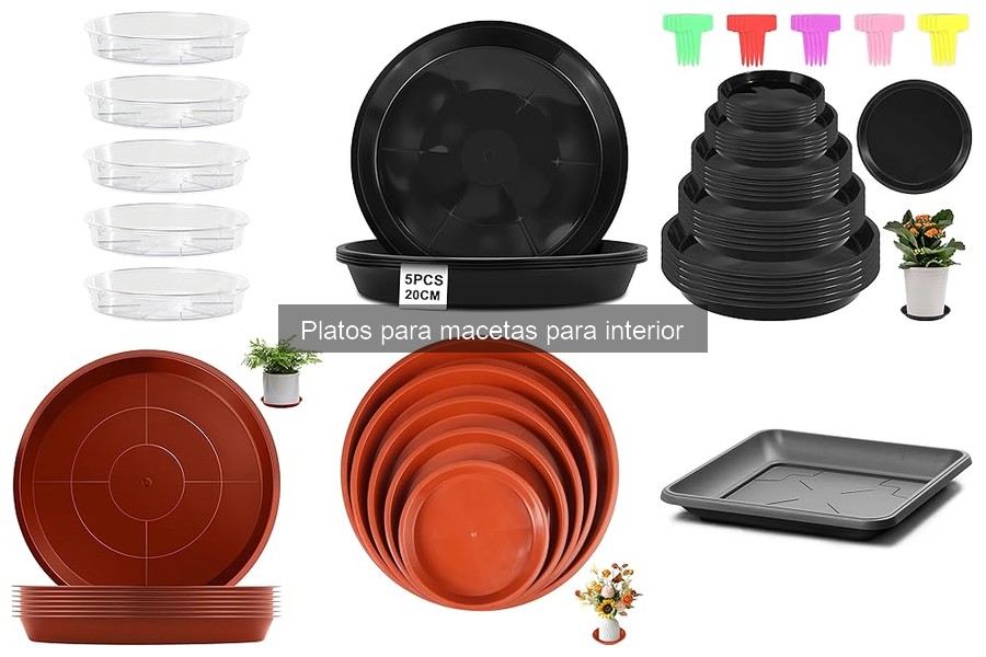 Comparativa de Platos de Plástico vs Cerámica para Macetas