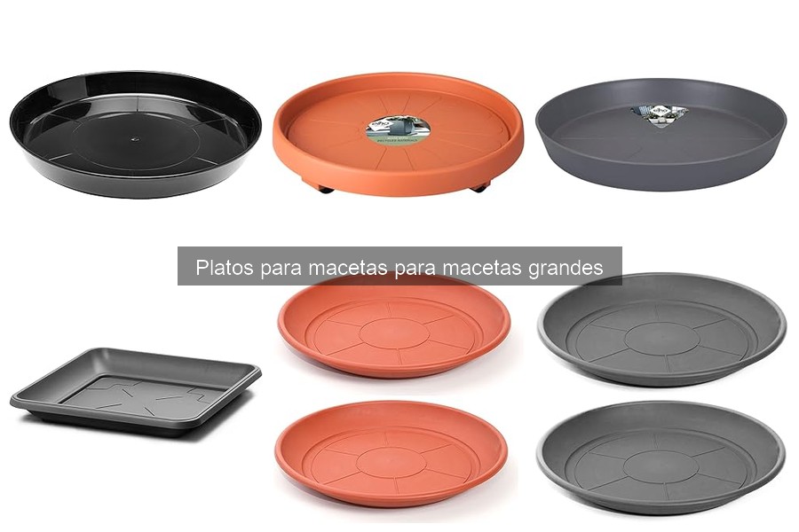 Comparativa de Platos para Macetas Grandes: Materiales y Pros