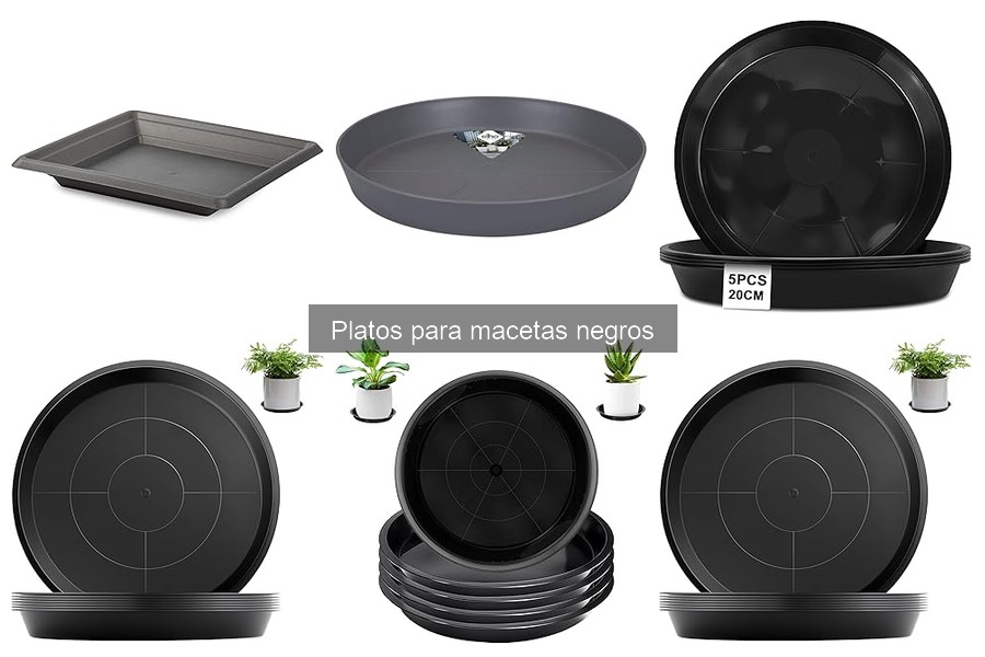 Comparativa de Platos para Macetas Negros: Calidad y Precio