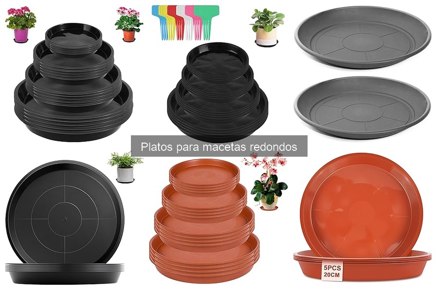 Comparativa de Platos para Macetas: Plástico vs Cerámica