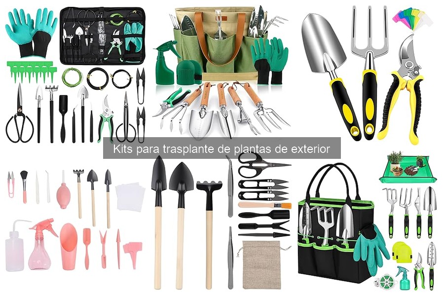 Comparativa de precios de kits de trasplante en Amazon
