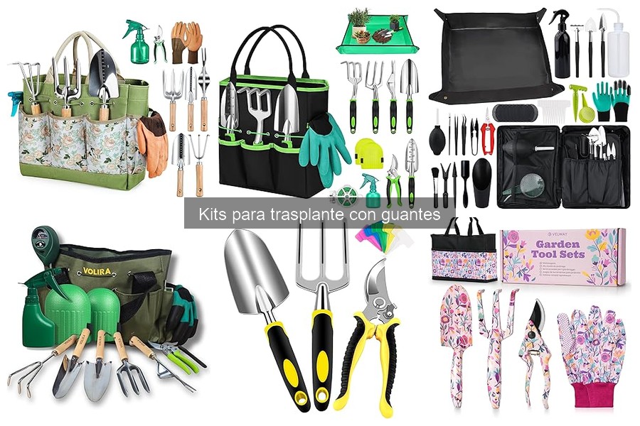 Comparativa de Precios de Kits para Trasplante con Guantes
