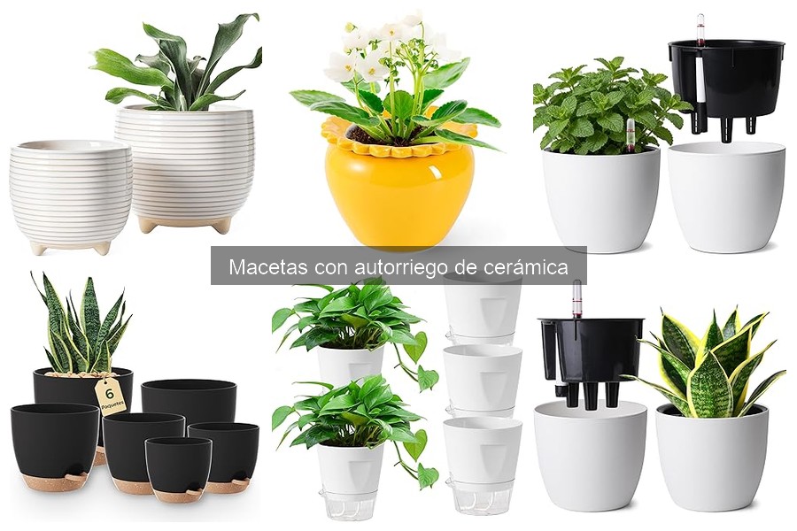 Comparativa de Precios de Macetas con Autorriego de Cerámica