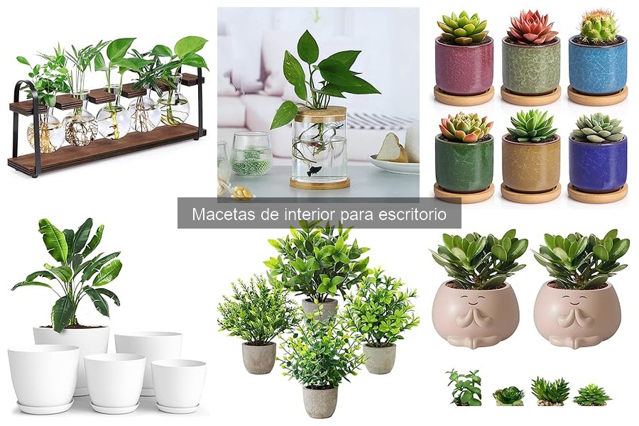 Comparativa de precios de macetas de interior para escritorio