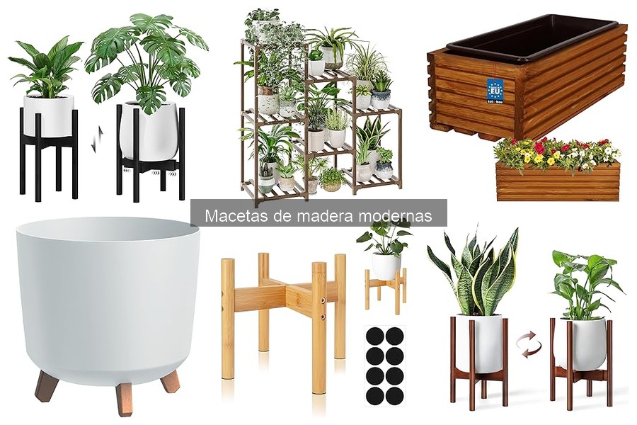 Comparativa de precios de macetas de madera modernas