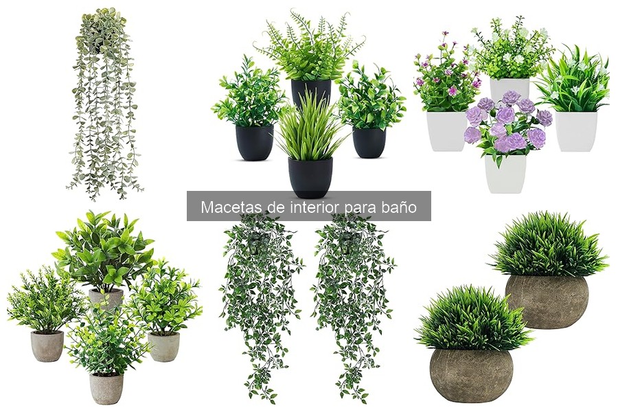 Comparativa de precios de macetas para baño en diferentes tiendas