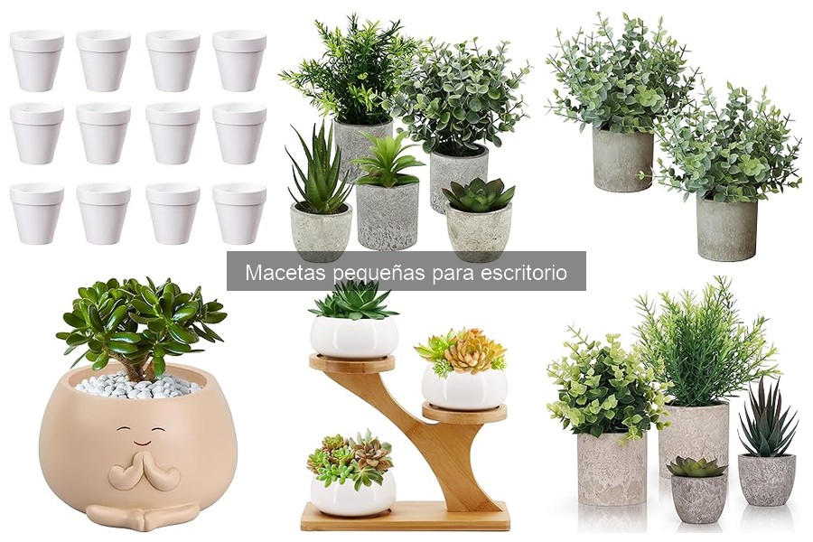 Comparativa de precios de macetas pequeñas para escritorio